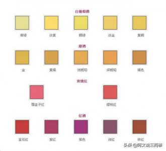 ​橙色葡萄酒大赛(世界葡萄酒大赛)