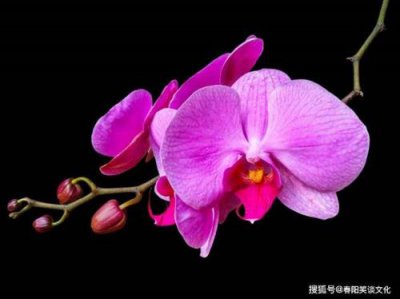 ​好消息接踵而至的意思