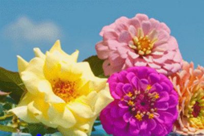 ​留心和细心的区别