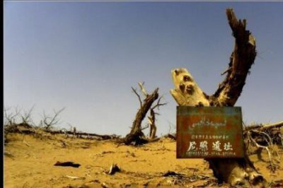 ​精绝古城鬼洞通向哪里