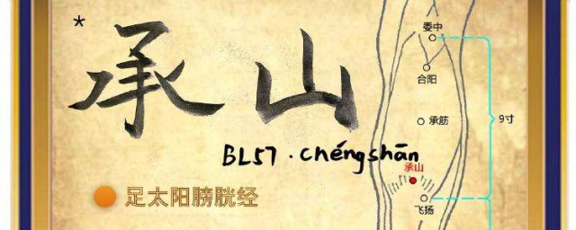 承山穴的功效与作用 承山穴的神奇功效有哪些