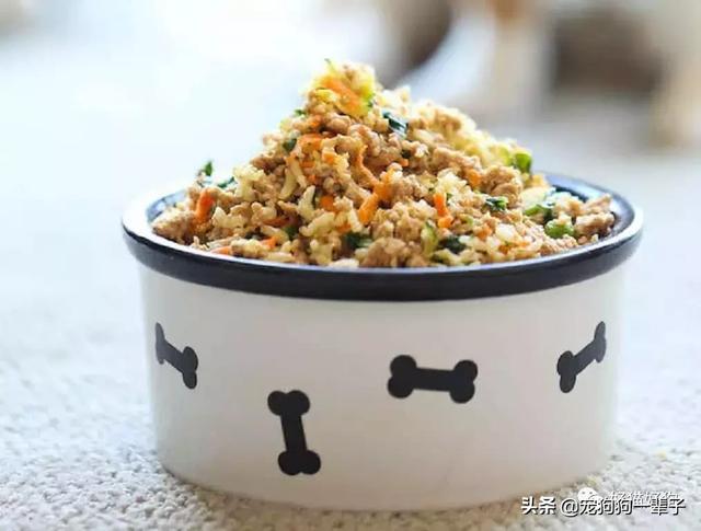 如何做出简单方便的狗粮（10个自制狗粮食谱）(5)