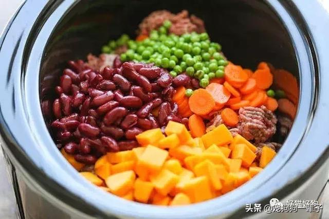 如何做出简单方便的狗粮（10个自制狗粮食谱）(6)