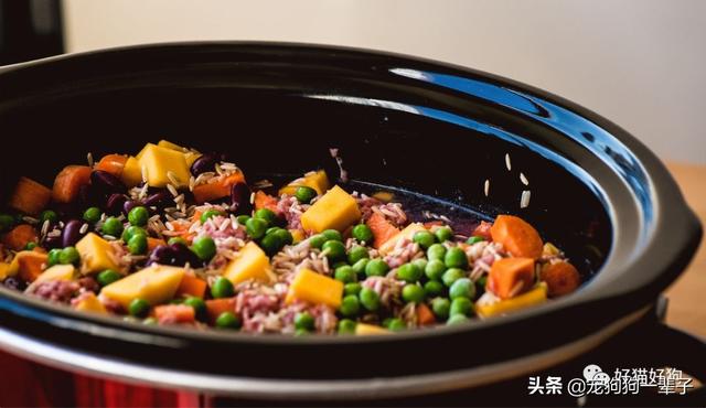 如何做出简单方便的狗粮（10个自制狗粮食谱）(12)