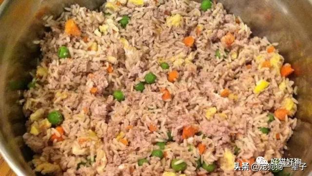 如何做出简单方便的狗粮（10个自制狗粮食谱）(7)