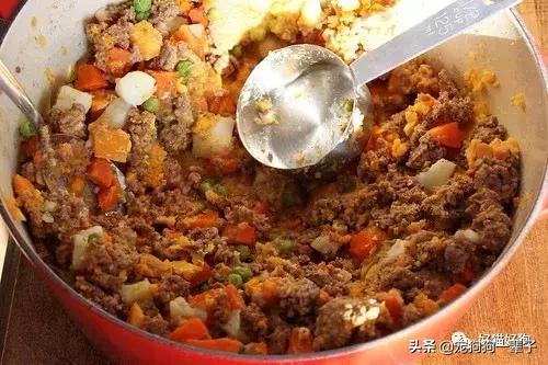 如何做出简单方便的狗粮（10个自制狗粮食谱）(14)