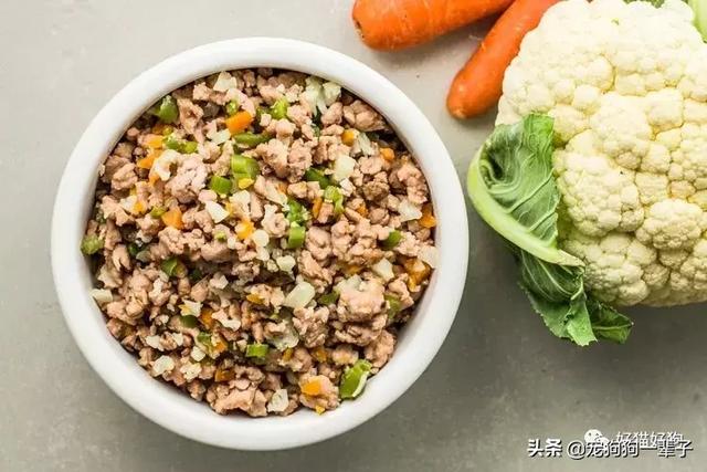 如何做出简单方便的狗粮（10个自制狗粮食谱）(10)