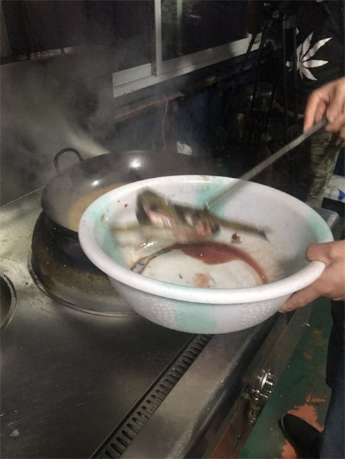 乌江鱼是不是鲶鱼(鲶鱼和乌江鱼太像了)