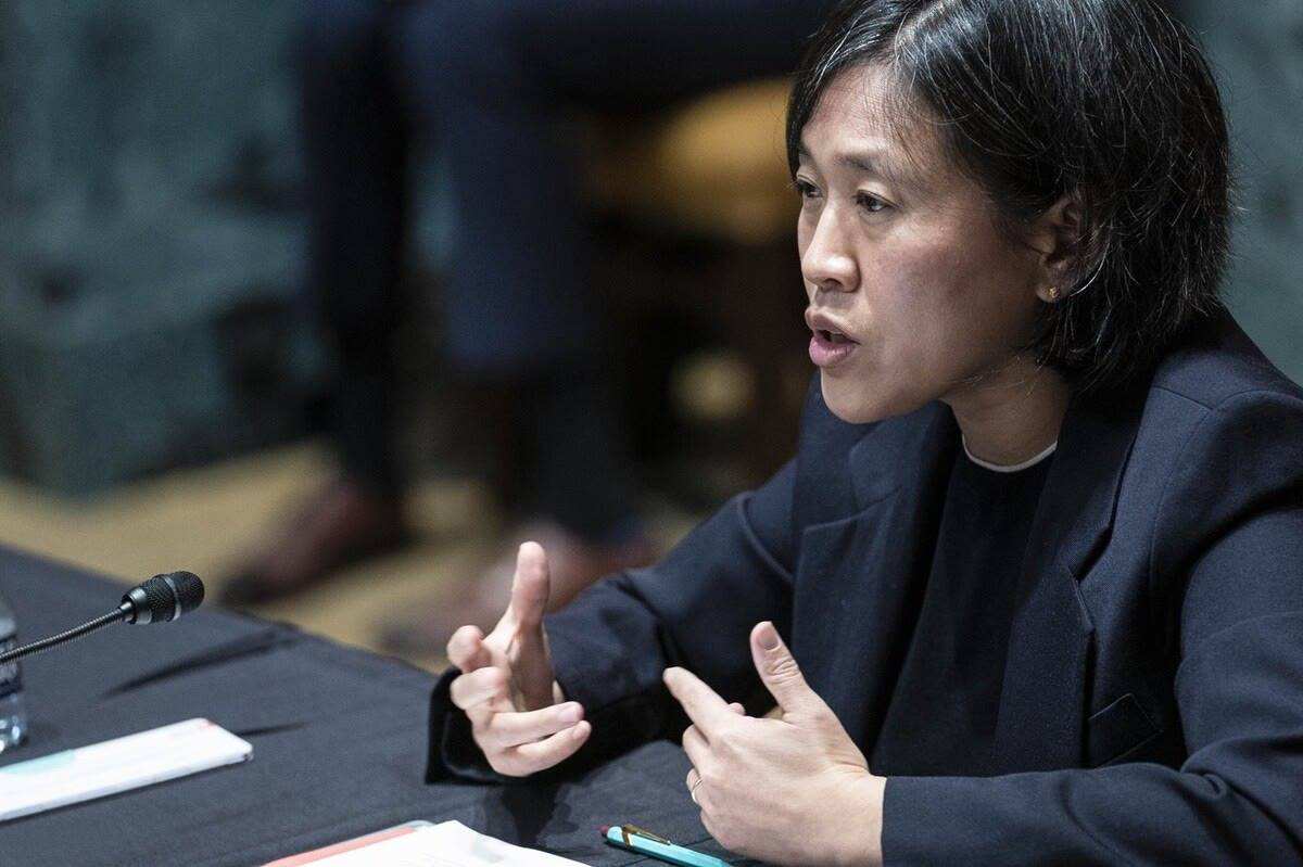 华裔戴琦个人简历(戴琦祖籍哪里)