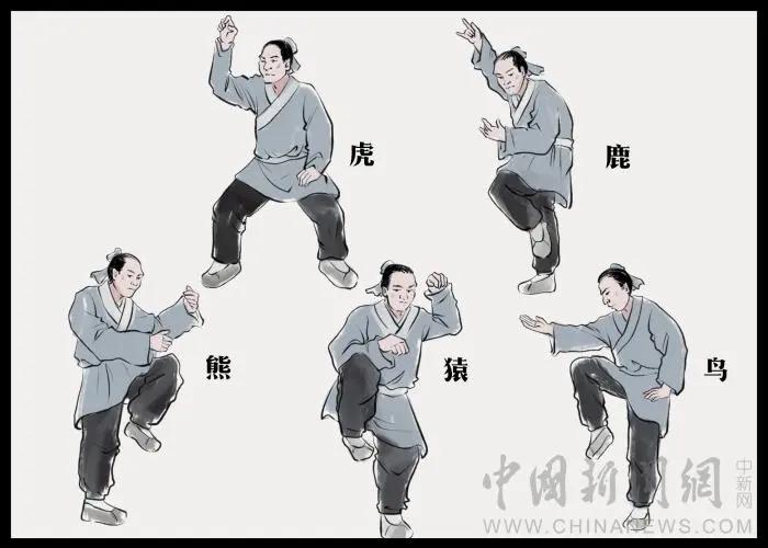 麻沸散是哪位名医发明的（麻沸散问世于什么时候）
