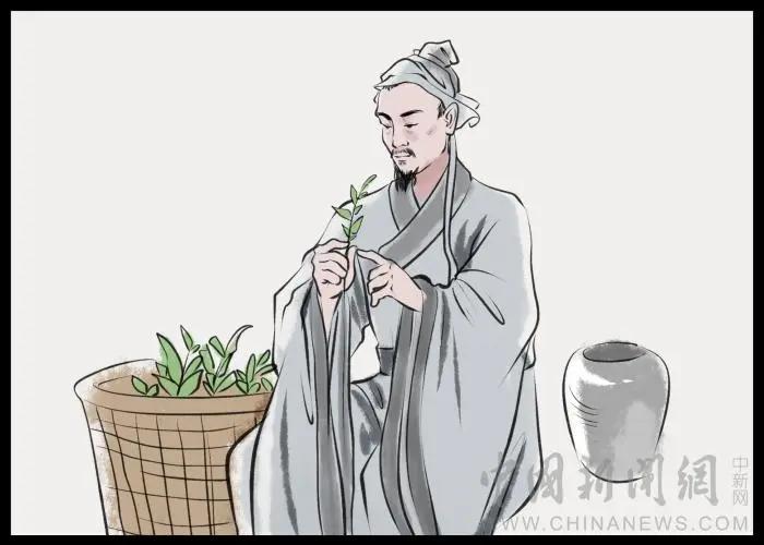麻沸散是哪位名医发明的（麻沸散问世于什么时候）