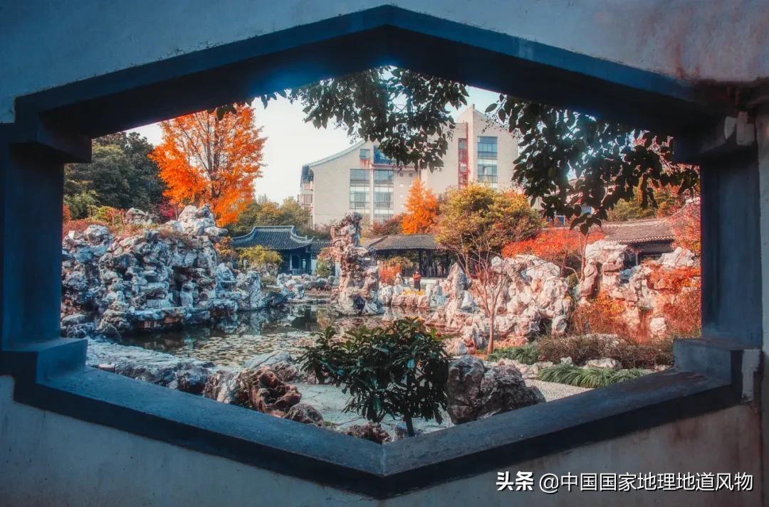 淮扬菜凭什么南北通吃（淮扬菜是哪个地方的菜）(图25)