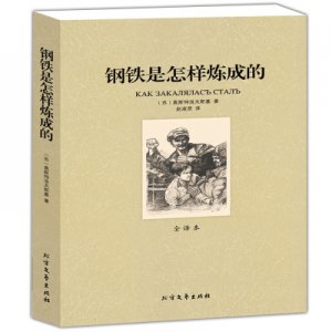 ​钢铁是怎样炼成的，5篇读后感作文