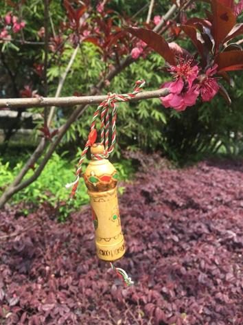 保加利亚玫瑰鲜花精油（Rose保加利亚玫瑰唯一达到口服级标准的奥图玫瑰精油）(6)