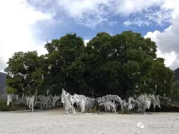 雅鲁藏布大峡谷主要景点（雅鲁藏布大峡谷）(5)