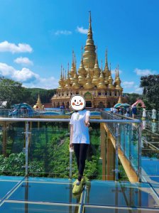 ​云南西双版纳旅游景点攻略（西双版纳旅游简介）