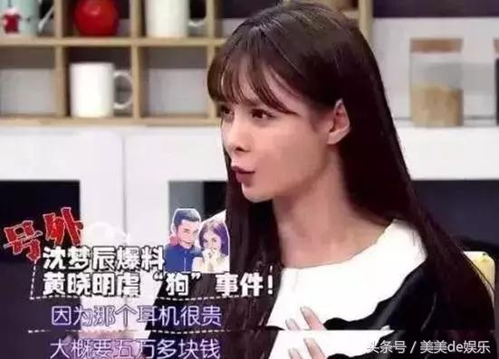 黄晓明和赵薇的感情史（黄晓明曾苦恋赵薇）(22)