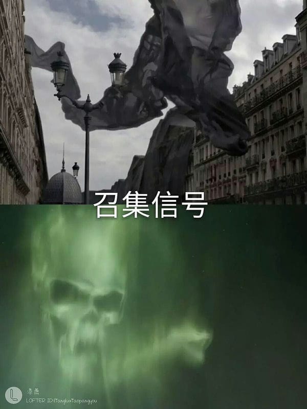 格林德沃和伏地魔之间的关系（格林德沃和伏地魔关系）