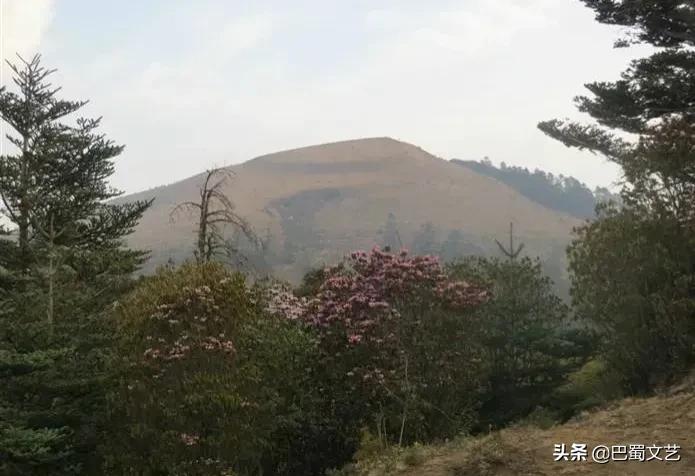 云南的最高海拔和最低海拔（云南海拔高度是多少）