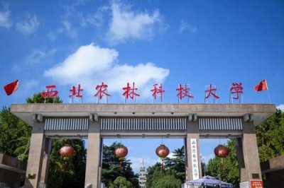 ​西安美容美发学院排名(西安美容美发学院那家好)