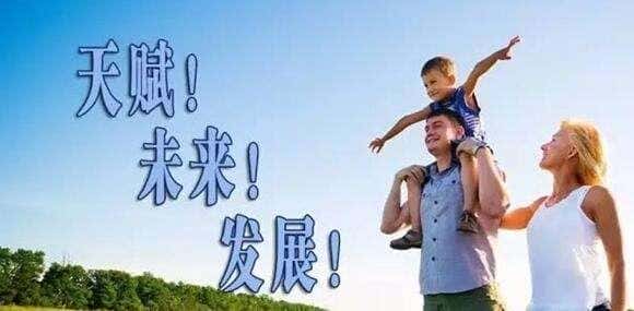 天赋测评报告（天赋测评论文）