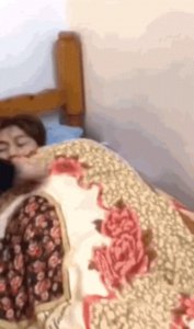 ​九漏鱼是什么意思（九漏鱼是什么鱼）