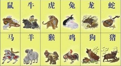 ​12生肖排序(十二生肖排列顺序表)