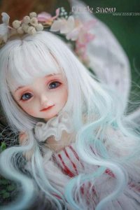 ​doll的中文意思是什么意思啊（hole是什么意思）