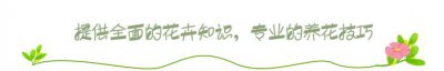 ​冬天养花用什么肥料（如何养花的技巧和施肥 ）