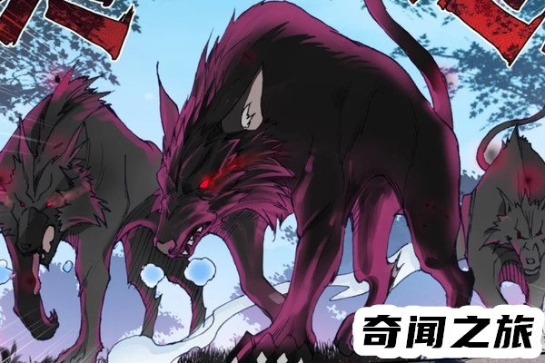 斗罗大陆最强魂骨深海魔鲸王躯干骨年份最久,狼猿魂骨附带瞬移