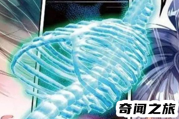 斗罗大陆最强魂骨深海魔鲸王躯干骨年份最久,狼猿魂骨附带瞬移