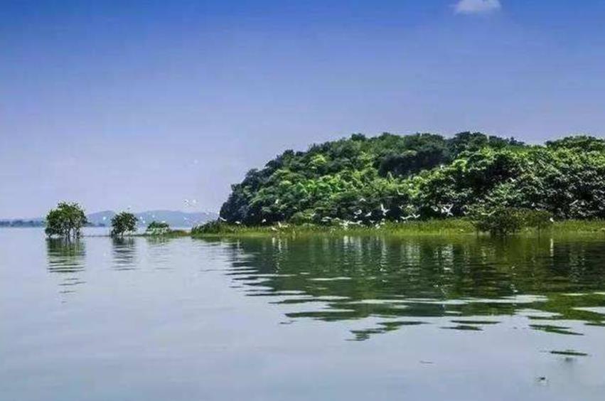 最大的淡水湖(我国最大的淡水湖是什么湖)