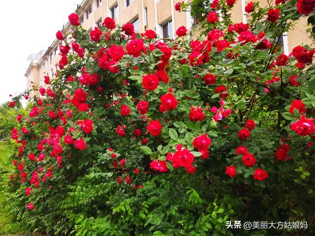 女人是性情中人好不好（女人是性情中人好吗）