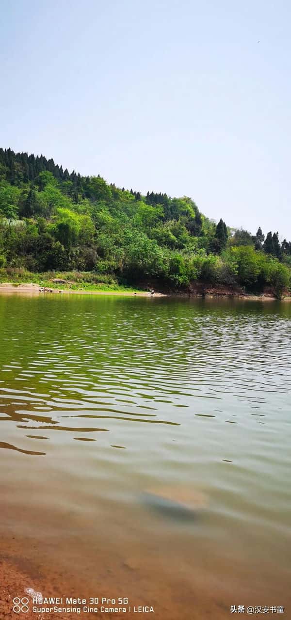 钓翘嘴的钓法（翘嘴钓底还是钓浮中鱼率高）