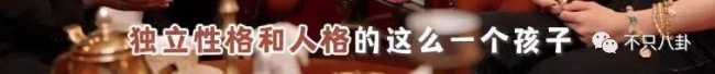 重生之我是王诗龄 有钱又有才!王诗龄被富养的半生