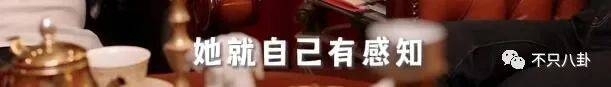 重生之我是王诗龄 有钱又有才!王诗龄被富养的半生