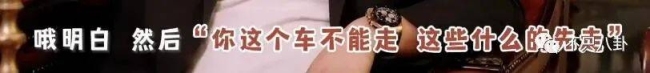 重生之我是王诗龄 有钱又有才!王诗龄被富养的半生