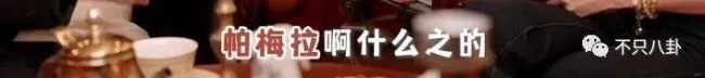 重生之我是王诗龄 有钱又有才!王诗龄被富养的半生