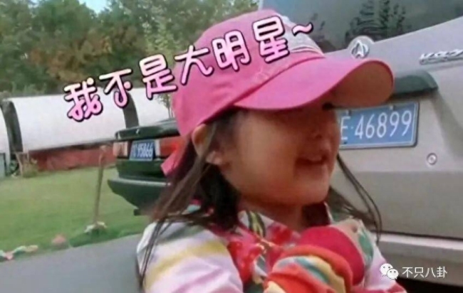 重生之我是王诗龄 有钱又有才!王诗龄被富养的半生