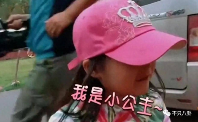 重生之我是王诗龄 有钱又有才!王诗龄被富养的半生