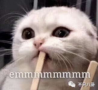 ​赵今麦穿价值4万元的钻石内裤被吐槽？