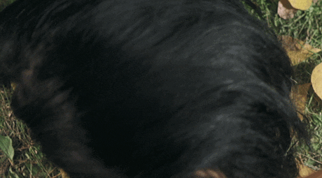 亚洲最性感的女星 这一脱太高级了……