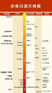 ​泸州陈 绵柔8_泸州绵柔9价格38度