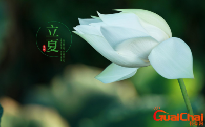 ​立夏是在何时？寓意是什么？