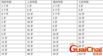 ​狗狗和人类年龄的对照表，我们应该从哪几个方面判断狗狗已经到了年龄？