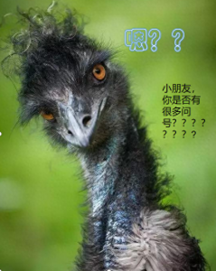 ​吴莫愁否认隐婚嫁富二代（吴莫愁现状）