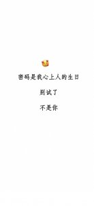 ​抖音超火壁纸：密码是我心上人的生日！不是你！
