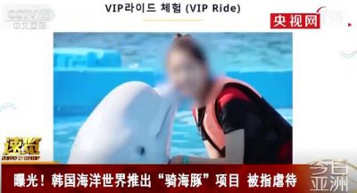​韩国海洋馆推骑海豚名目,残害动物激励争议