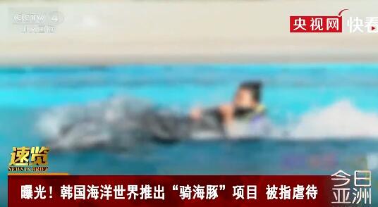 韩国海洋馆推骑海豚名目,残害动物激励争议
