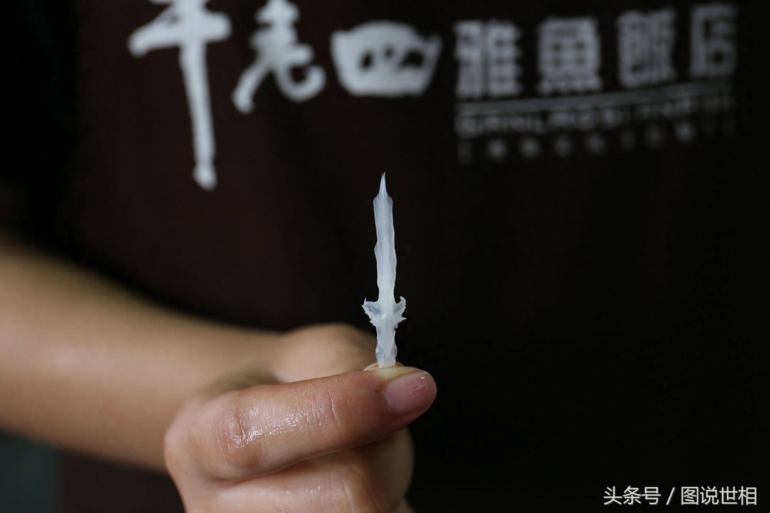 148元一斤的雅鱼这么贵，全靠藏在鱼头里的“它”辨别真假